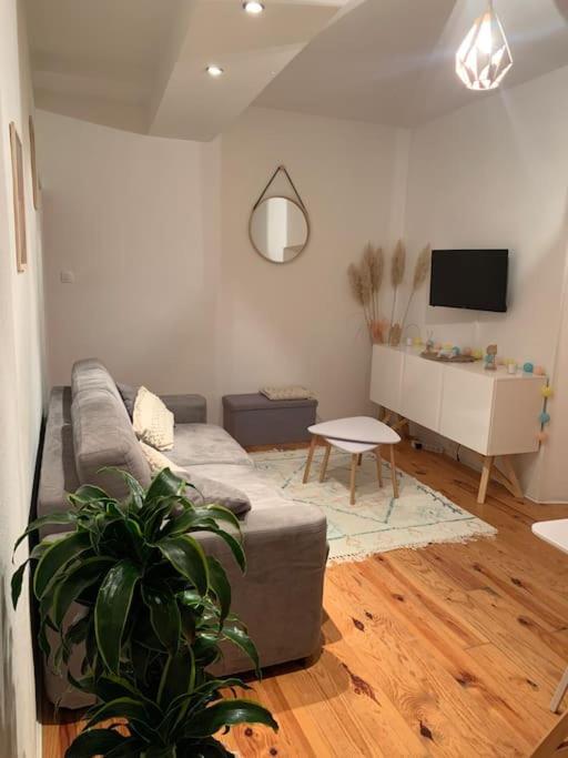 Le Petit Cocon Nimois Apartment Ним Екстериор снимка